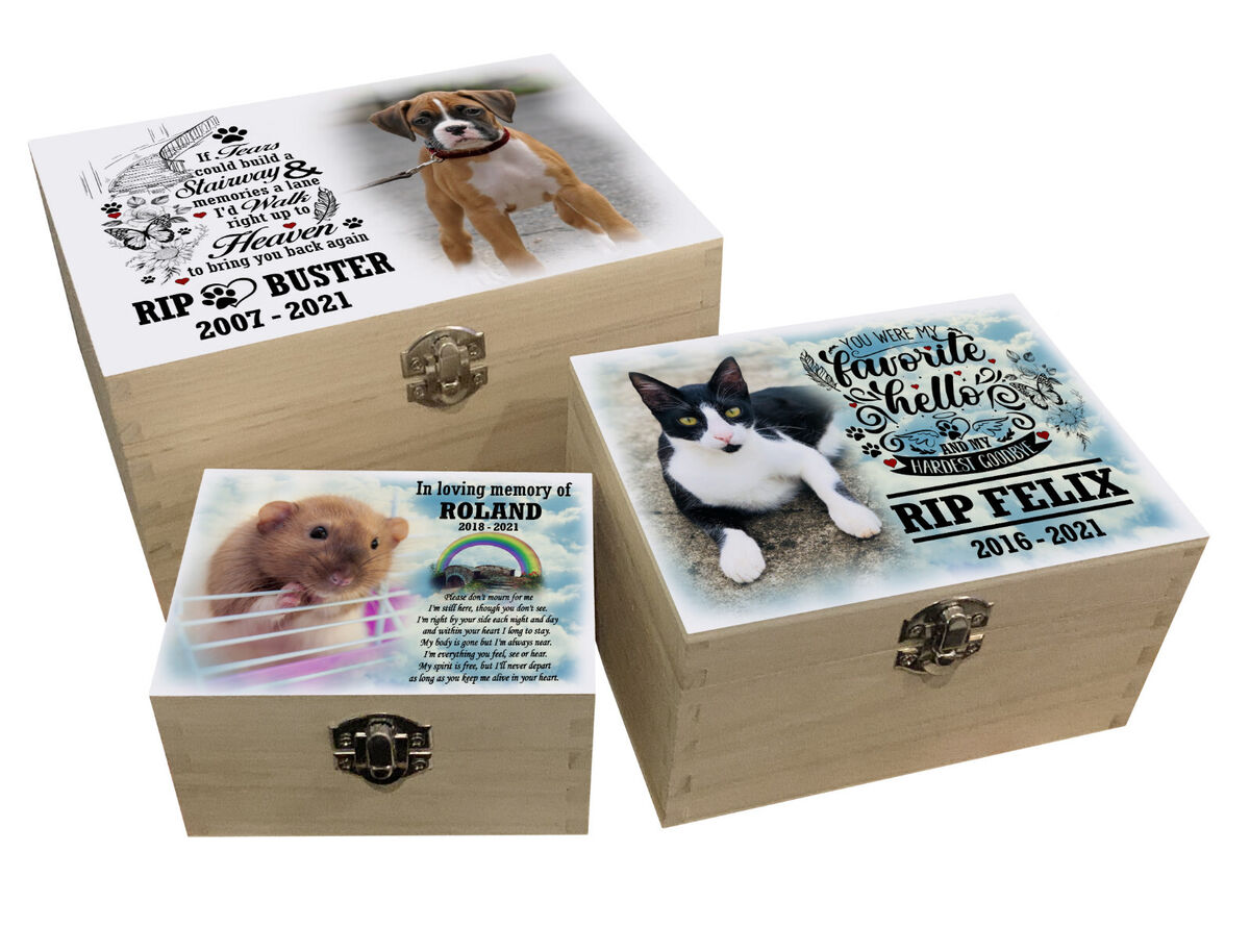 Factores a considerar al seleccionar un ataúd para tu perro Factores a considerar al seleccionar un ataúd para tu perro