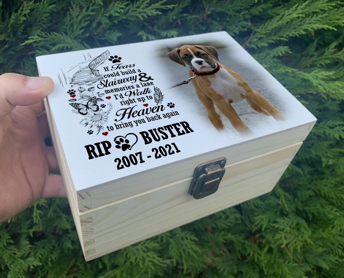 La importancia de tomar medidas para el ataúd de tu perro La importancia de tomar medidas para el ataúd de tu perro